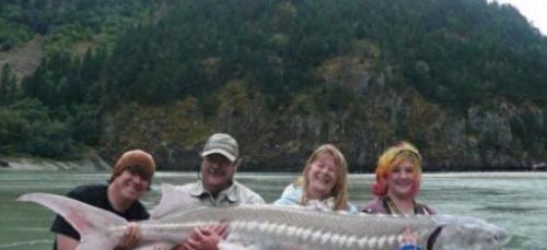 动物排行榜之十大动物祖先(十大古老动物排行榜)插图3 动物排行榜之十大动物祖先(十大古老动物排行榜)插图3