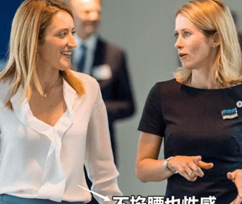 欧洲议会大臣排名前十(欧洲议会女议员完整版)插图13 欧洲议会大臣排名前十(欧洲议会女议员完整版)插图13