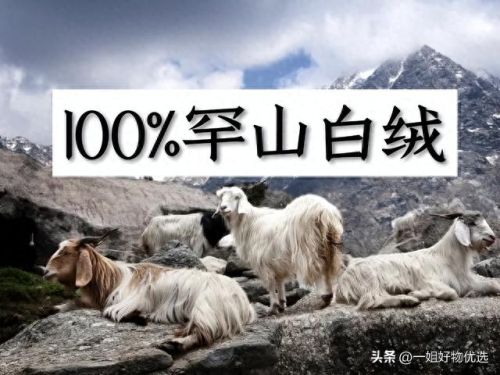 男士围巾品牌十大排行榜(围巾男士品牌排行榜)插图 男士围巾品牌十大排行榜(围巾男士品牌排行榜)插图