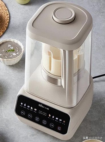 国内十大破壁机排行榜(德国破壁机十大排行榜及价格)插图3