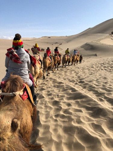 苏州恐怖景点排名前十(苏州十大良心景区免费)插图14 苏州恐怖景点排名前十(苏州十大良心景区免费)插图14