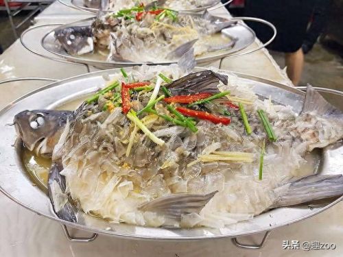 求十大最好吃的鱼排行榜(十大群游最好的鱼)插图11