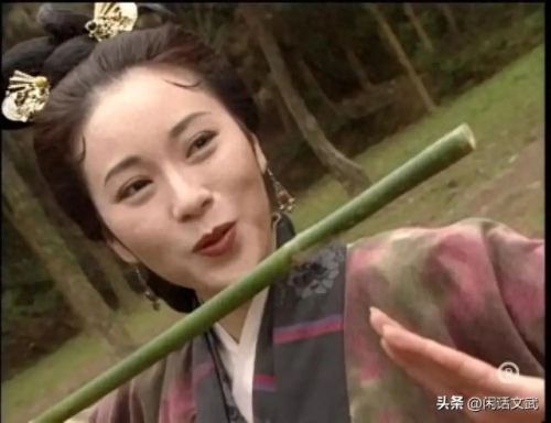 小说十大神技排行榜女主(公认十大小说女主)