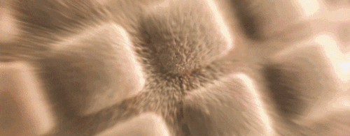 手机显微镜十大品牌排行榜(高端显微镜十大品牌)插图28