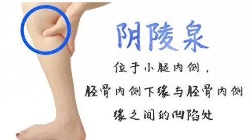 深圳湿气中医排名前十(上海老中医看湿气)插图9 深圳湿气中医排名前十(上海老中医看湿气)插图9
