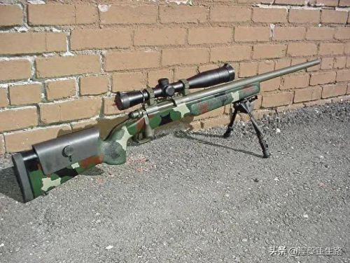 十大狙击枪射程排行榜图片(现代各种狙击枪介绍及图片)插图4