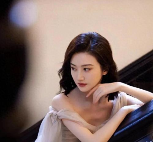 十大中国明星美女排行榜(中国十大落魄明星)插图2