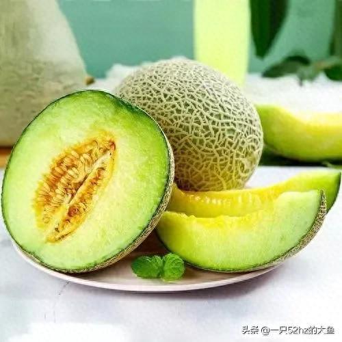 甜瓜品种十大排行榜图片(500个瓜图片)插图1