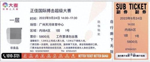 拳击十大影响力排行榜中国(学拳击的十大坏处)插图7