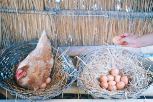 曼谷安全酒店排名前十(泡泡玛特曼谷开业)插图34 曼谷安全酒店排名前十(泡泡玛特曼谷开业)插图34