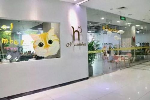 东莞避雷画室排名前十(东莞白塔岭画室)插图14