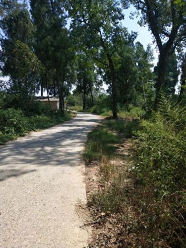 广西十大名牌坊排行榜最新(广西全州四大牌坊)插图13