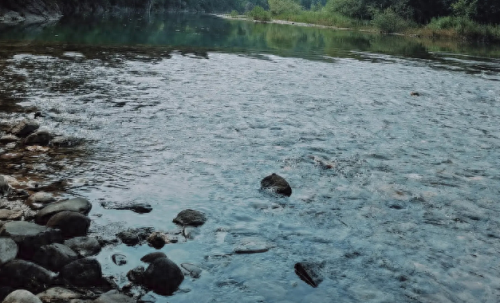 郑州水边餐厅排名前十(费县水边餐厅)插图32 郑州水边餐厅排名前十(费县水边餐厅)插图32