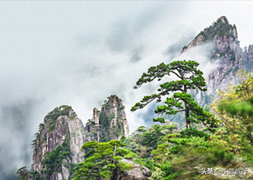 古代游船价格排名前十(30座游船价格大全)插图3 古代游船价格排名前十(30座游船价格大全)插图3