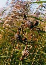 盘锦风水公司排名前十(盘锦十大凶宅)插图 盘锦风水公司排名前十(盘锦十大凶宅)插图