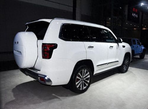 十大最不耐用车排行榜北京(中国最差的汽车排名)插图4