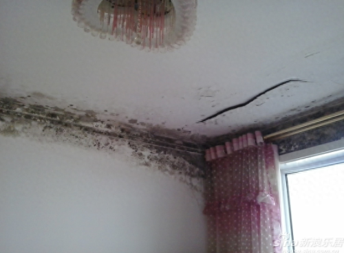 十大致癌卫生间排行榜(主卧卫生间十大禁忌)插图1