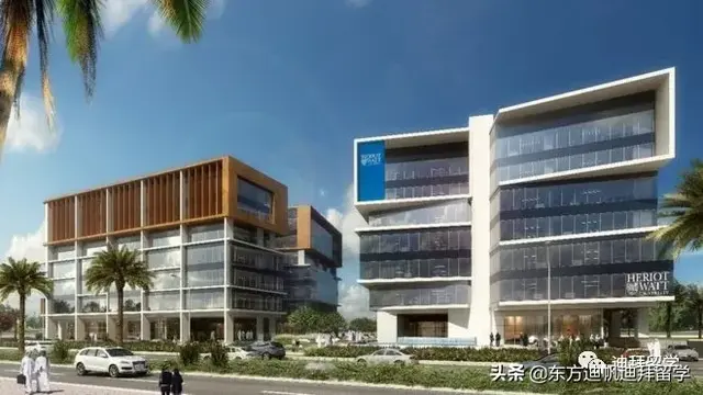 迪拜硕士专业排名前十(迪拜研究生留学)插图6