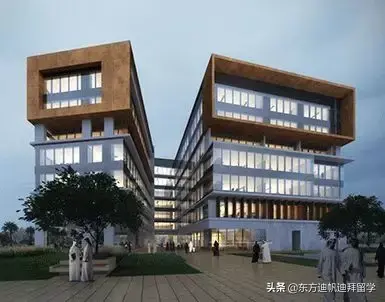 迪拜硕士专业排名前十(迪拜研究生留学)插图15