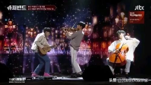 外国真人秀节目排行榜(国外最火的综艺节目前十名)插图13