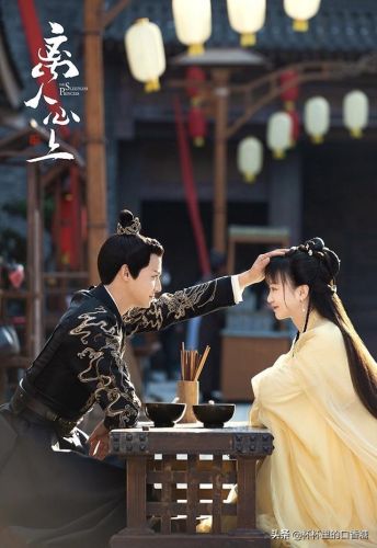 2017言情剧排行榜(评分最高的言情电视剧)插图21