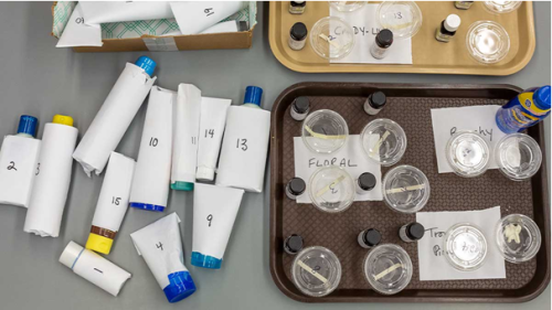 德国婴儿防晒霜排行榜(婴幼儿防晒霜什么牌子好)插图8 德国婴儿防晒霜排行榜(婴幼儿防晒霜什么牌子好)插图8