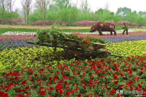 菏泽好玩的地方排行榜(菏泽一日游必去景点)插图19 菏泽好玩的地方排行榜(菏泽一日游必去景点)插图19