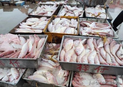 广州吃海鲜地方排行榜(广州吃海鲜大排档一条街)插图3