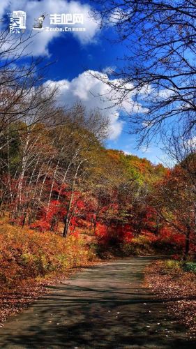 九月国内旅游排行榜(国内必去的景点排行榜)插图10
