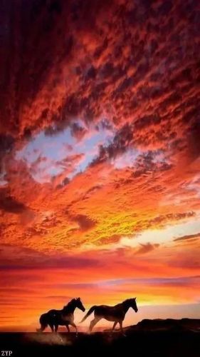 世界风景区排行榜(国内必去的景点排行榜)插图4