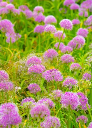 九月国内旅游排行榜(国内必去的景点排行榜)插图18