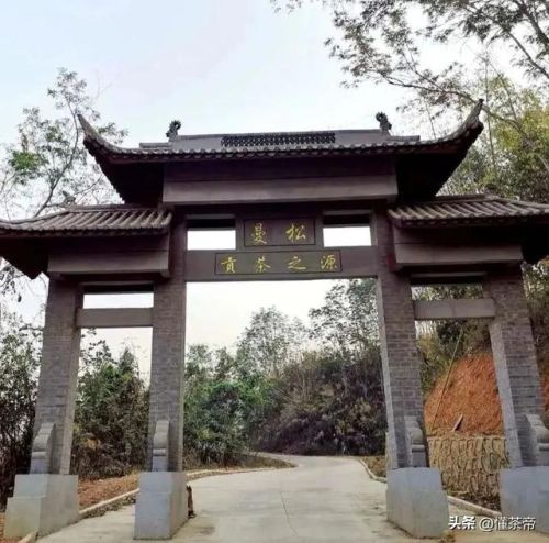 最贵的普洱茶叶排行榜(最贵的普洱茶多少钱一饼)