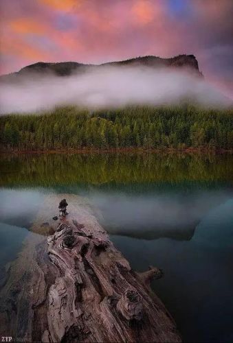 世界风景区排行榜(国内必去的景点排行榜)插图32