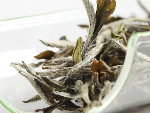 福鼎老白茶品牌排行榜(福鼎老白茶什么牌子好)插图9 福鼎老白茶品牌排行榜(福鼎老白茶什么牌子好)插图9