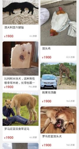 三线品牌包包排行榜(三线品牌包包有哪些牌子)插图 三线品牌包包排行榜(三线品牌包包有哪些牌子)插图