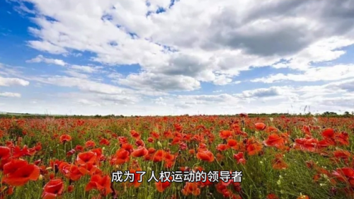 世界丑女排行榜前十名(世界公认十大丑女)