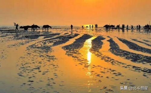 南通好玩的地方排行榜(南通必去景点排名)插图48