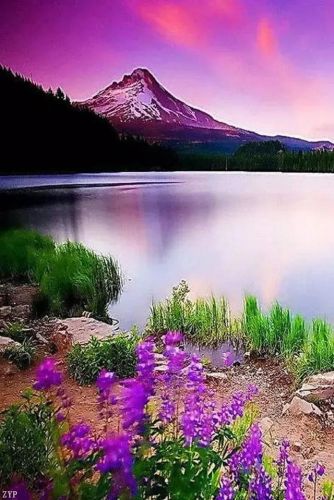 世界风景区排行榜(国内必去的景点排行榜)插图35