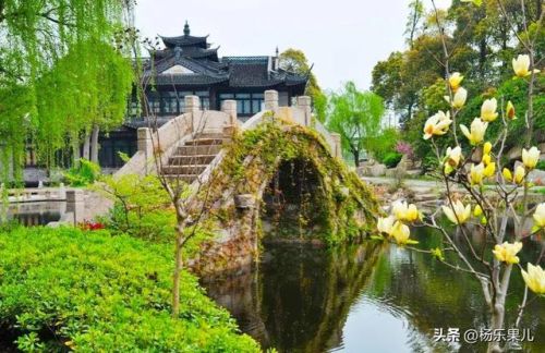 闵行好玩的地方排行榜(闵行十大必去景点)插图10