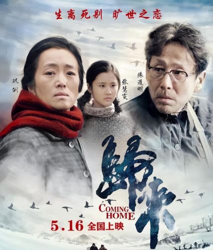 爱情大片排行榜前十名(必看的经典爱情电影)插图15