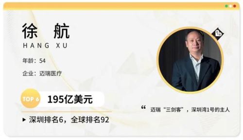 深圳富豪榜2017排行榜(世界最新福布斯排行榜)插图7 深圳富豪榜2017排行榜(世界最新福布斯排行榜)插图7