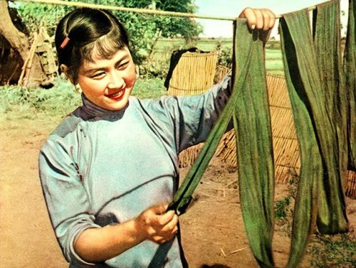 爱情大片排行榜前十名(必看的经典爱情电影)插图14