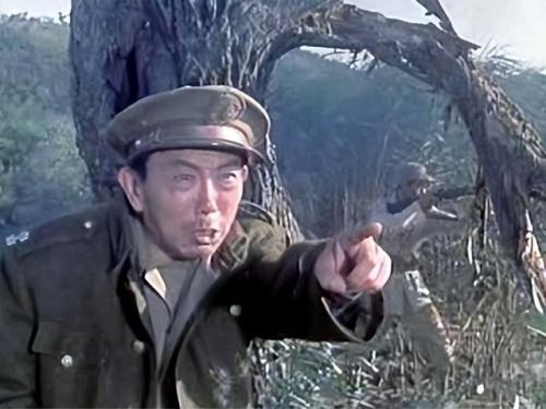 反面人物老演员排行榜(十大坏蛋演员照片)插图11 反面人物老演员排行榜(十大坏蛋演员照片)插图11