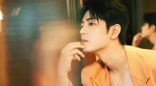 明星排行榜鹿晗排第几(鹿晗在中国人气排第几)