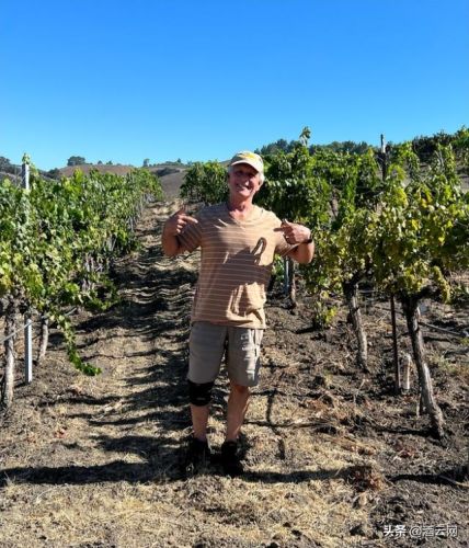 红酒价格排行榜前十名(十大红酒价格表)插图18 红酒价格排行榜前十名(十大红酒价格表)插图18