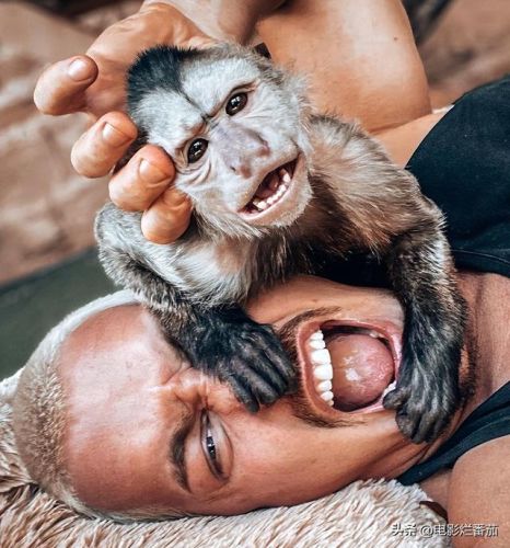 世界最帅的男人排行榜2017(全球颜值最高十大男神)插图1