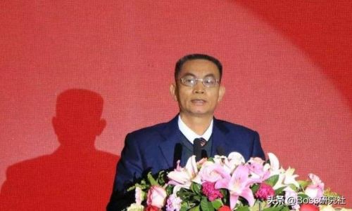 云浮十大首富排行榜(广东云浮有钱人排名)插图10