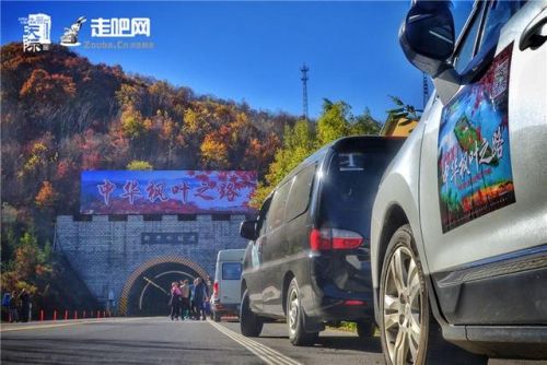 九月国内旅游排行榜(国内必去的景点排行榜)插图9