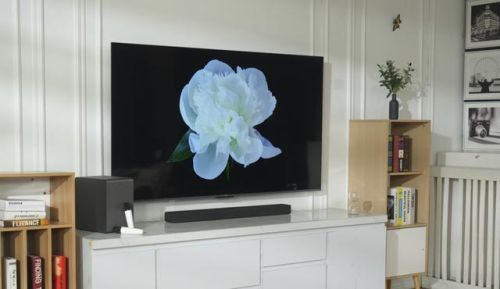 乐华名牌电视机排行榜(65寸电视哪个牌子好)插图1