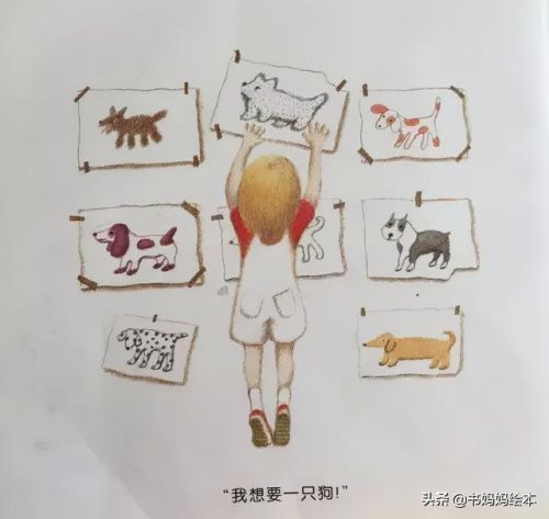 人气总排行榜狗狗书籍(哪些养狗的书比较实用)插图53